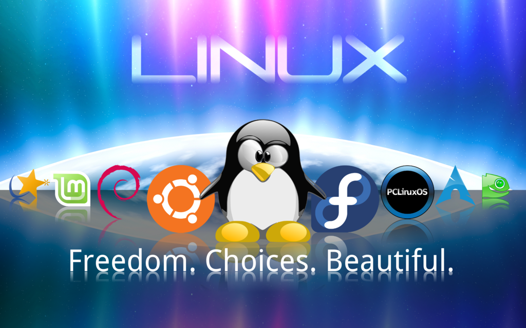 servidor linux