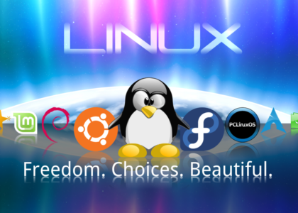 linux, servidor, conteiner, virtualização